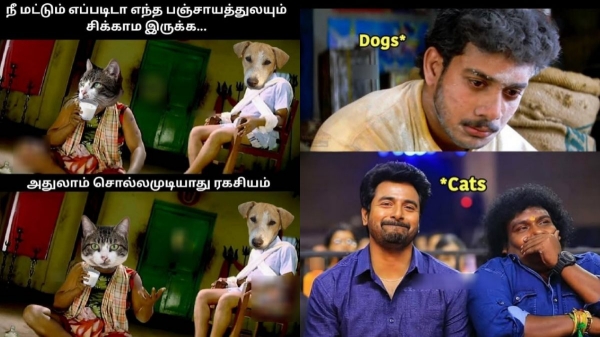 memes comedy motivational instagram memes memes comedy motivational instagram memes