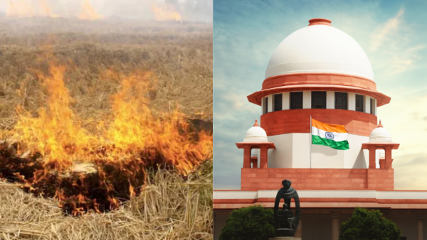 Supreme Court Suggests Jail for Farmers Burning Stubble Supreme Court Suggests Jail for Farmers Burning Stubble