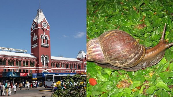 chennai africa chennai africa