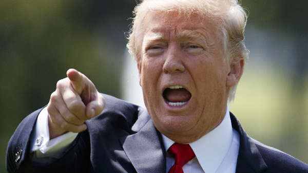 Trump IT visa