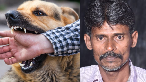 rabies dog rabies dog