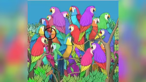 optical illusion offbeat trend optical illusion offbeat trend