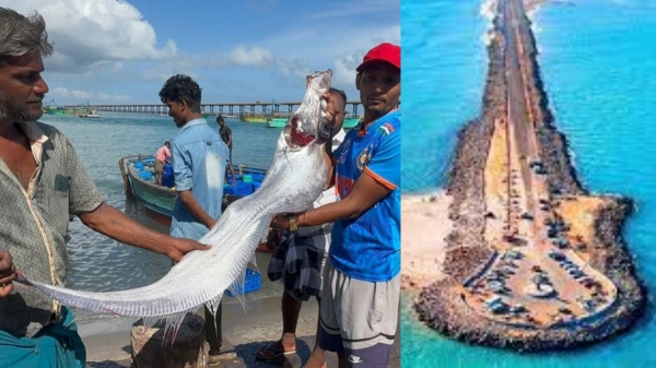 Rameswaram Dhanushkodi Rameswaram Dhanushkodi
