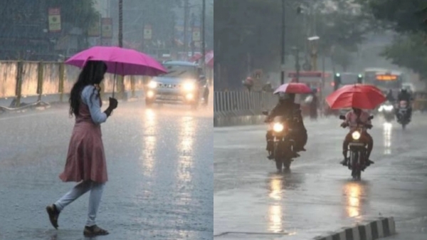 Rain Weather Chennai Rain Rain Weather Chennai Rain