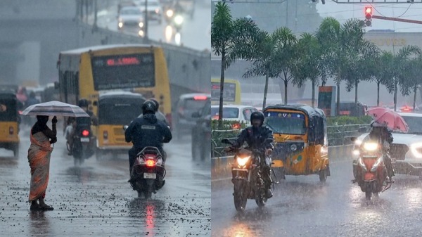 weather rain weatherman