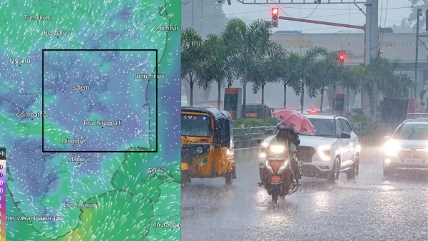 rain tamil nadu Tiruvannamalai Tenkasi