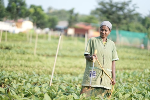 Sadhguru jaggi Vasudev