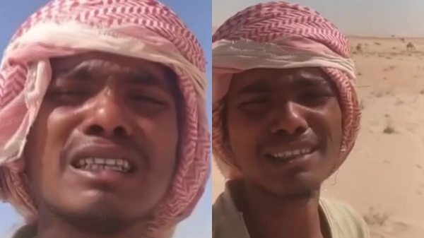 saudi arabia camel herd indian