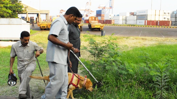 jobs Tamil Nadu Police BDD Recruitment jobs Tamil Nadu Police BDD Recruitment