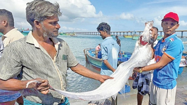 pamban fishermen pamban fishermen