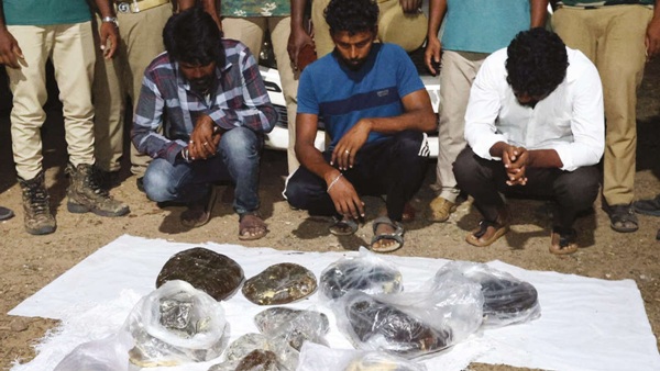 Sea gold found in Kanyakumari 40 kg of whale saliva lumps worth crores seized Sea gold found in Kanyakumari 40 kg of whale saliva lumps worth crores seized