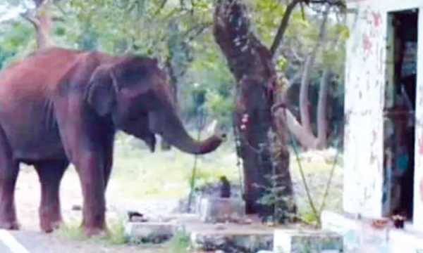 Erode Bannari Temple Sathyamangalam Erode Bannari Temple Sathyamangalam