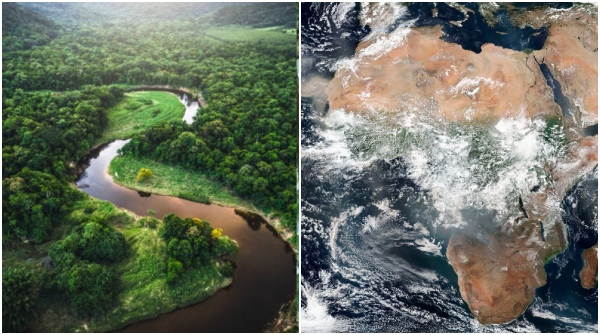 Africa Forests Turn Carbon Source Study Reveals Deforestation Crisis affecting Global Climate Threat Africa Forests Turn Carbon Source Study Reveals Deforestation Crisis affecting Global Climate Threat