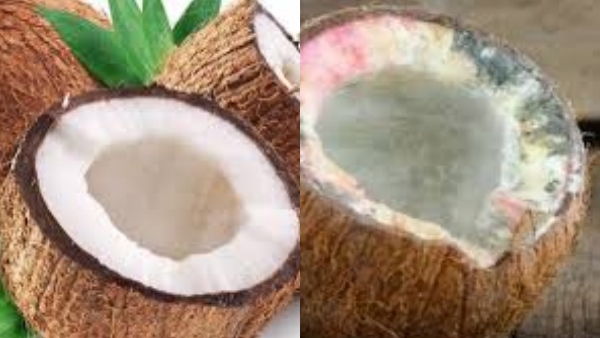 Coconut fresh