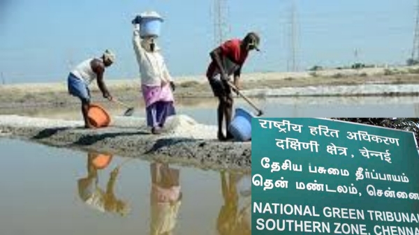 water body encroachments Tribunal Tamil Nadu government water body encroachments Tribunal Tamil Nadu government