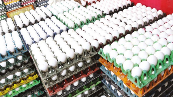 Luck for Namakkal The reason behind the sudden increase in egg prices