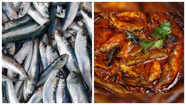 kerala-special-mathi-meen-kuzhambu-learn-how-to-make-keralas-special-mathi-meen-kuzhambu-recipe-in kerala-special-mathi-meen-kuzhambu-learn-how-to-make-keralas-special-mathi-meen-kuzhambu-recipe-in