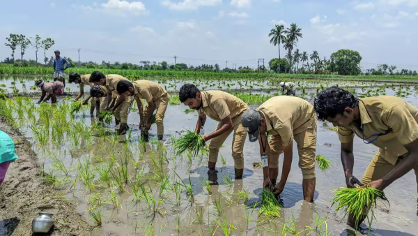 TN Govt Agriculture Subsidy TN Govt Agriculture Subsidy