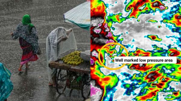 Delta Weatherman Weather Heavy Rain Hemasandar