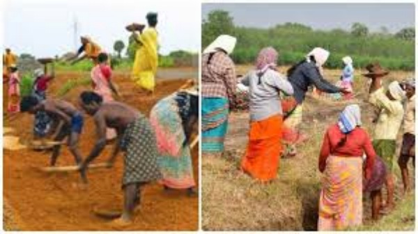 MGNREGA MGNREGA