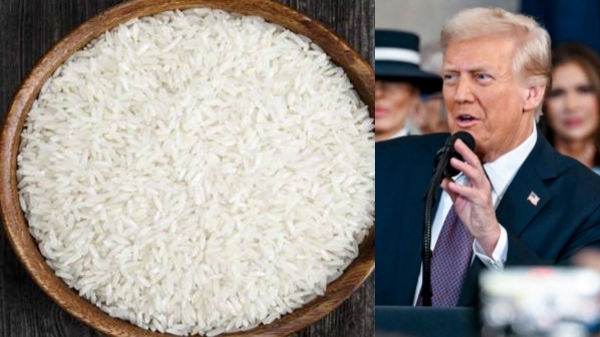 basmati donald trump india