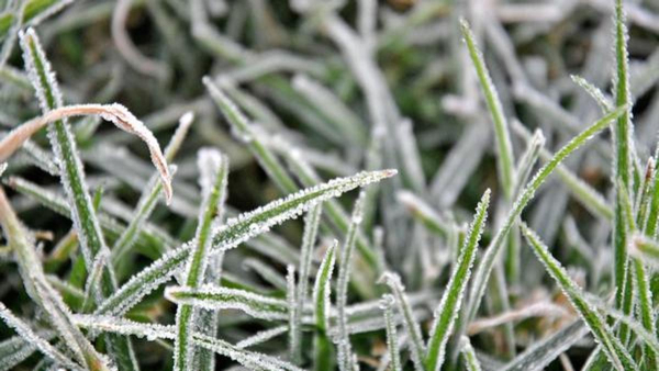 Rain tamil nadu Rain tamil nadu