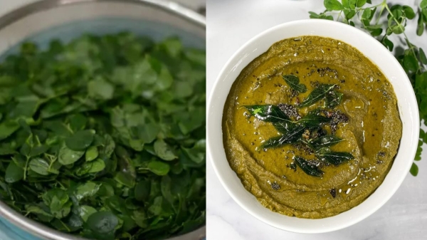 recipes drumstick leaves recipes drumstick leaves