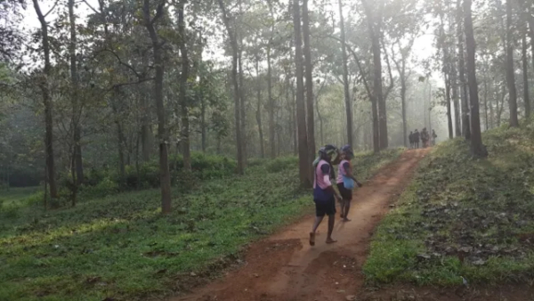 Sabarimala ayyappan temple Mandala pooja
