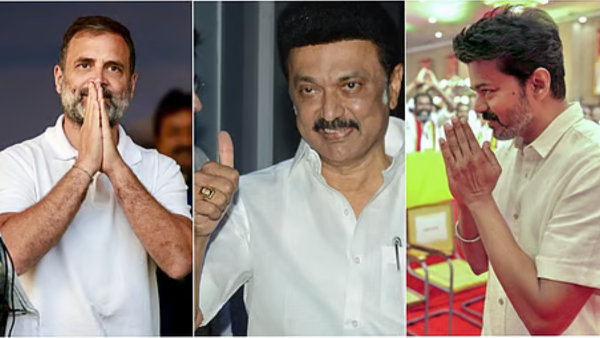 DMK Congress TVK DMK Congress TVK