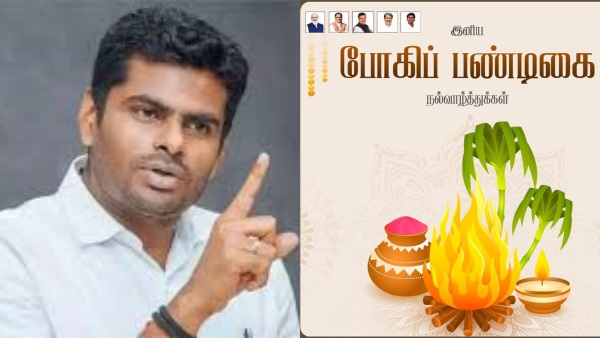 Bhogi Festival Bhogi Festival