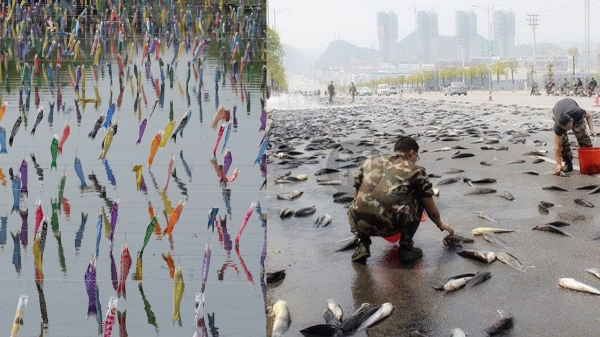 Fish Rain Fish Falling Powerful Storms Waterspout Fish Rain Fish Falling Powerful Storms Waterspout