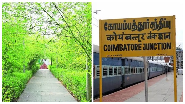 coimbatore-corporation-constructing-bamboo-park-in-sihs-colony