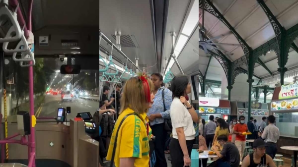 world India world India