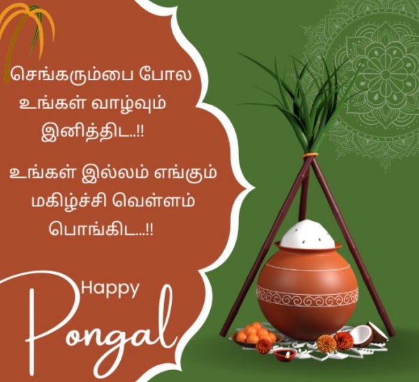 Pongal 2026 2026 Pongal 2026 2026