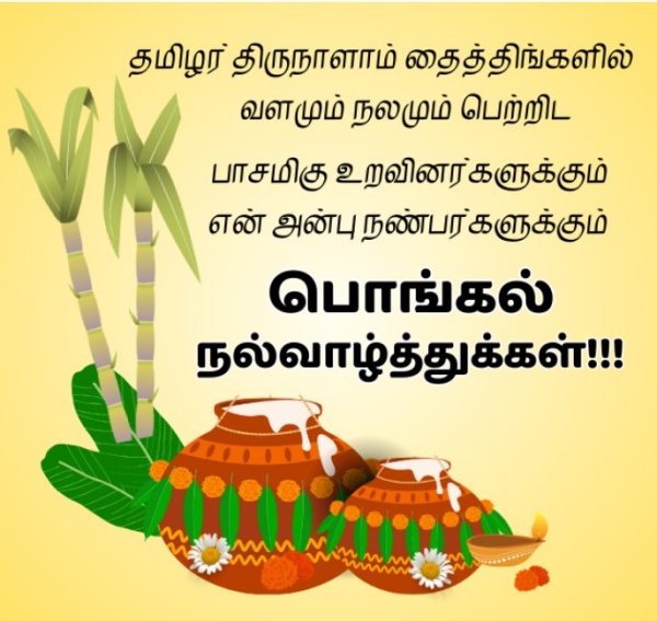 Pongal 2026 2026 Pongal 2026 2026