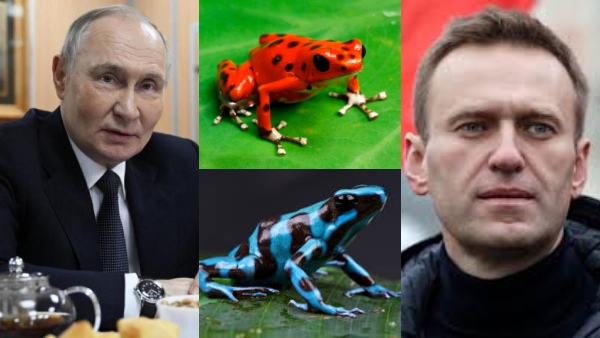 alexei-navalny-killed-with-dart-frog-toxin-russia-to-blame-uk-4-other-nations alexei-navalny-killed-with-dart-frog-toxin-russia-to-blame-uk-4-other-nations