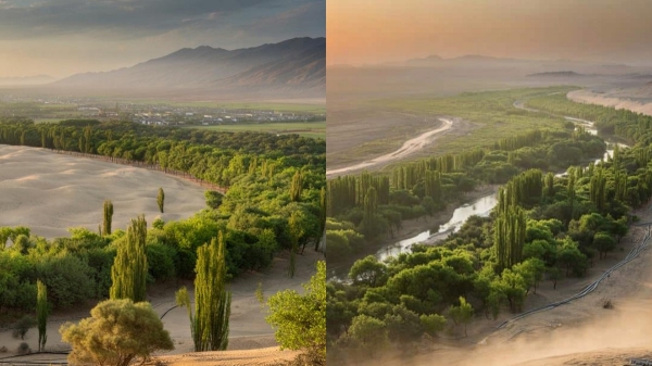 Saudi arabia usa Saudi arabia usa