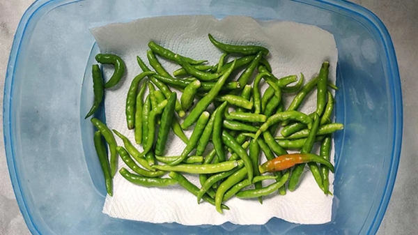green chillies fresh