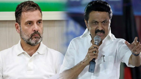 Tamil Nadu Assembly Election 2026 MK Stalin rahul gandhi Tamil Nadu Assembly Election 2026 MK Stalin rahul gandhi