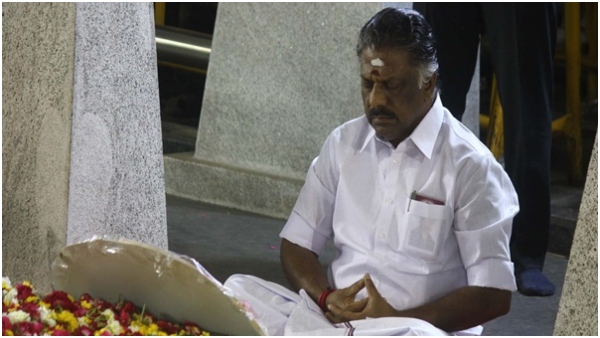 Election Exclusive Election Exclusive