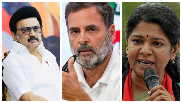 dmk-congress-alliance-stalin-took-strong-decision-on-dmk-congress-alliance dmk-congress-alliance-stalin-took-strong-decision-on-dmk-congress-alliance