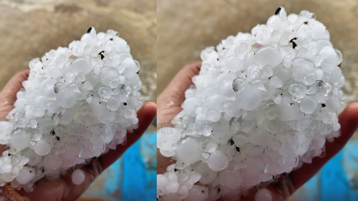 கொட்டிய ஆலங்கட்டி மழை.. கோவை, ஈரோடு, திருப்பூர் மாவட்டங்களில் ஐஸ் மழை பெய்ததால் மக்கள் மகிழ்ச்சி!