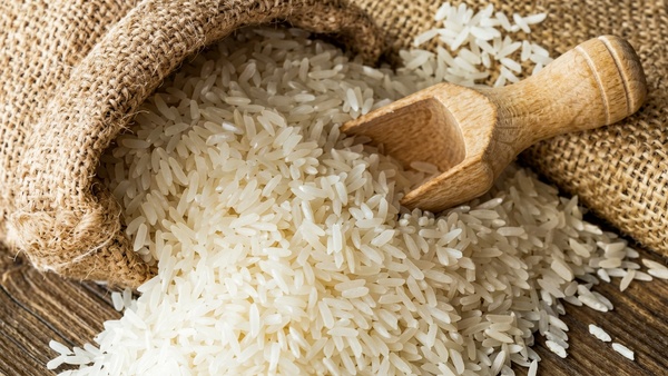 India Lab grown Rice With 3x Protein Low GI to Fight Diabetes and Malnutrition Using Broken Rice India Lab grown Rice With 3x Protein Low GI to Fight Diabetes and Malnutrition Using Broken Rice