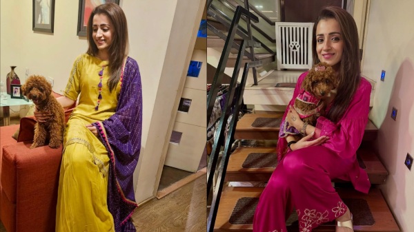 Trisha vijay Trisha vijay