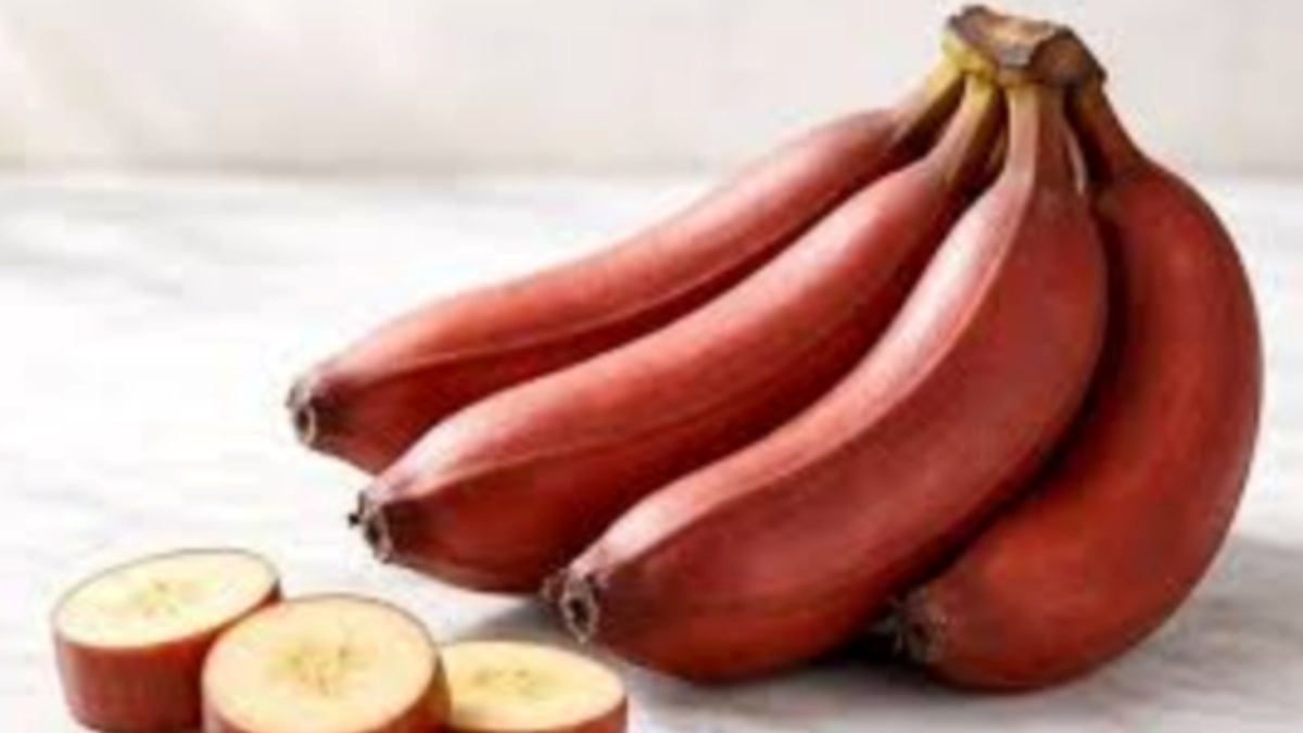 செவ்வாழை சாப்பிடுவதால் கிடைக்கும் நன்மைகள் -  தினமும் சாப்பிட்டால் என்ன ஆகும் தெரியுமா?