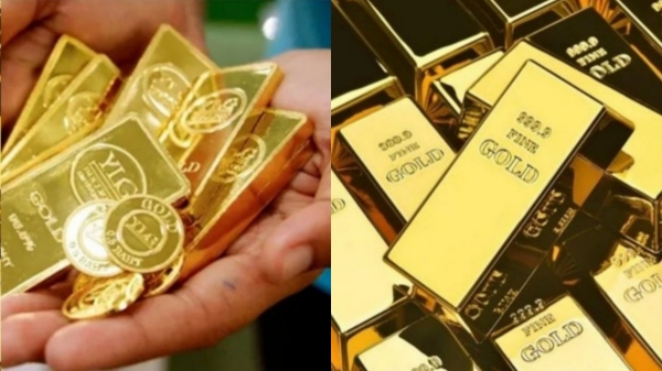 Gold Investment SGB Savings Profit April 2026 Banking Finance Gold Investment SGB Savings Profit April 2026 Banking Finance