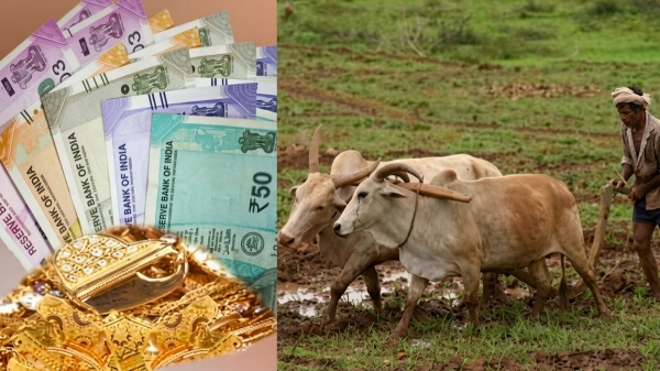 gold loan waiver Vijay crop loan waiver RBI rules Tamil Nadu politics gold loan waiver Vijay crop loan waiver RBI rules Tamil Nadu politics