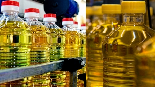 Cooking Oil Palm Oil Food Safety Health News Ration System Oil Quality Nutrition Tips