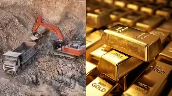 Andhra Gold Project Gold India