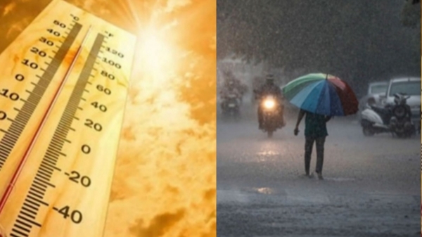 weather weatherman rain